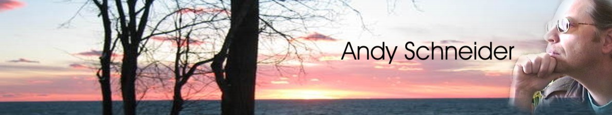 Nur Banner 3